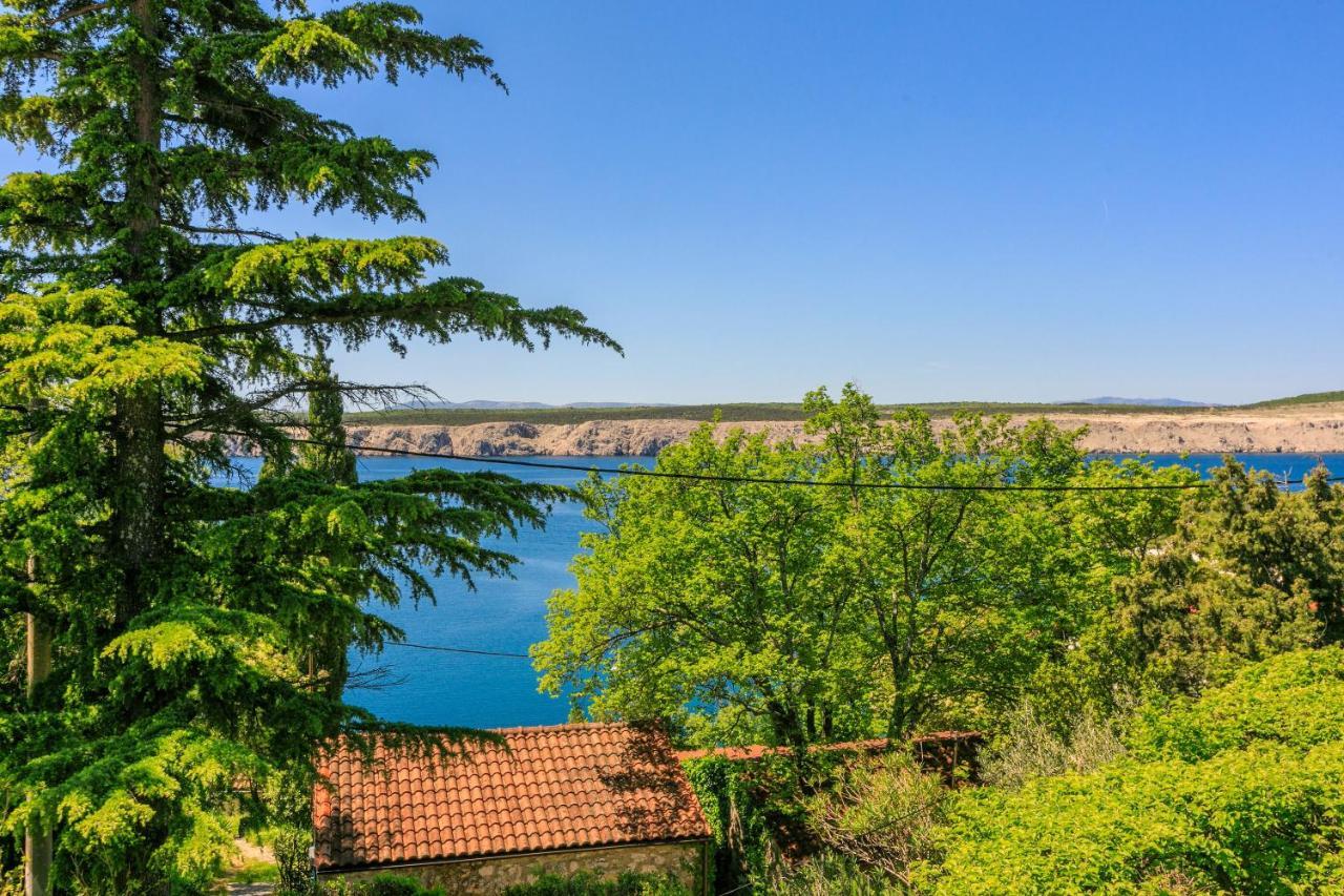 Apartment Seneca Ядраново Экстерьер фото